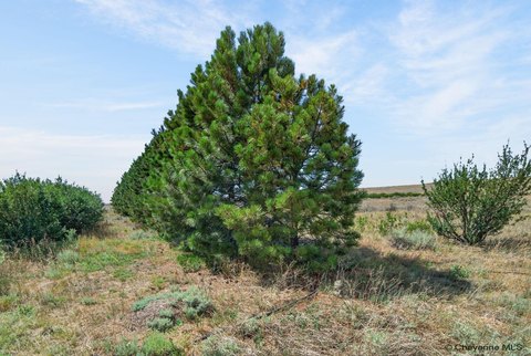 LAND - Cheyenne, WY