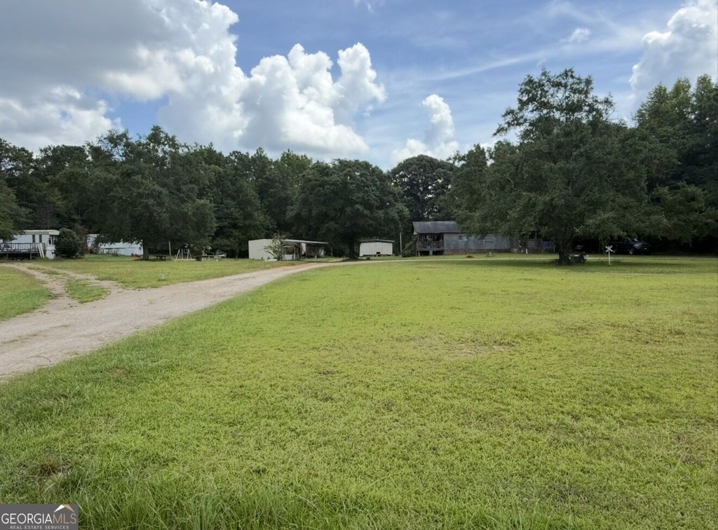 Picture 7