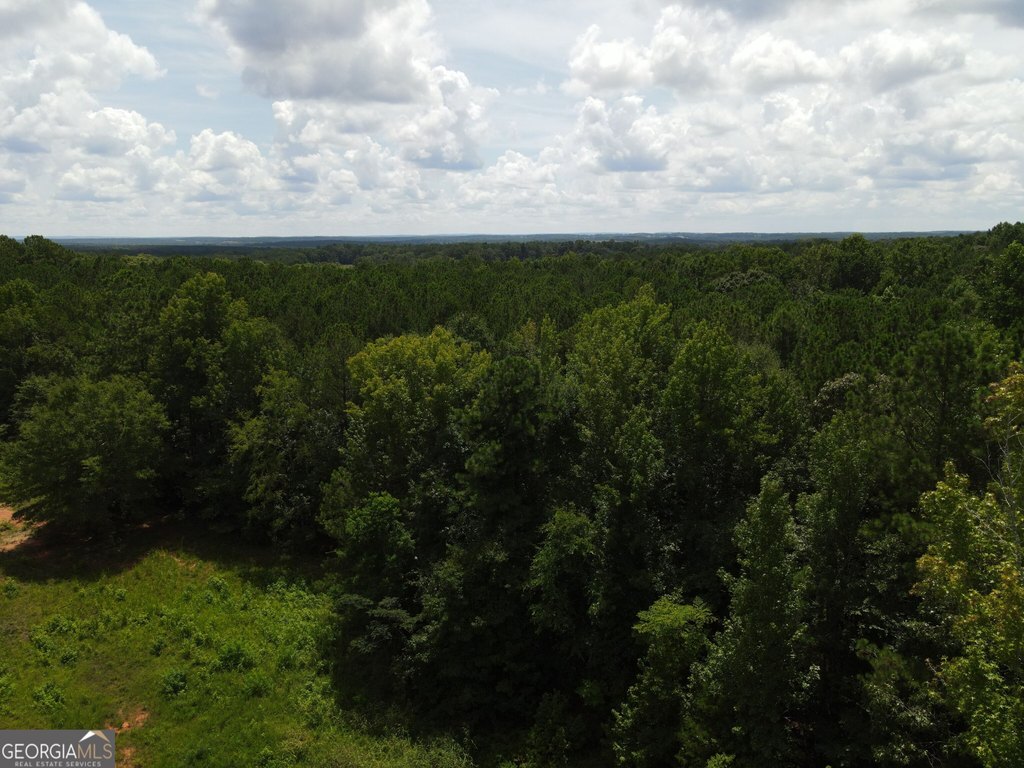 Picture 30