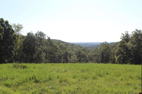 Yellville Land with Highway Frontage