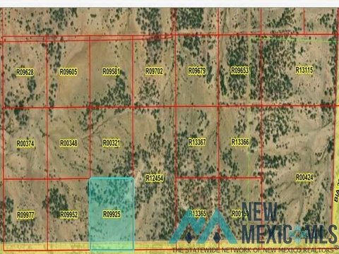 Secluded Land Parcel Near Pinehill