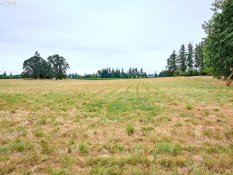 31+ Acre EFU Property