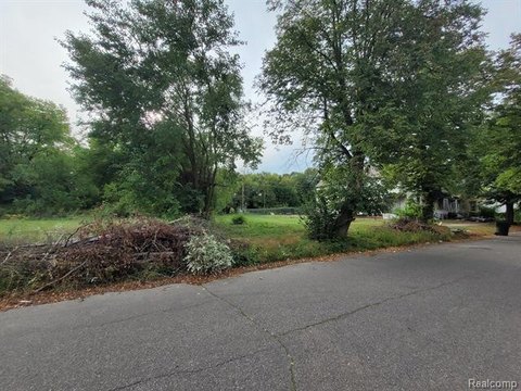 Residential Land in Islandview Detroit