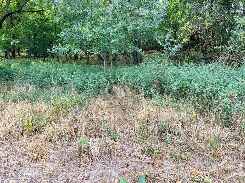 Picture 25