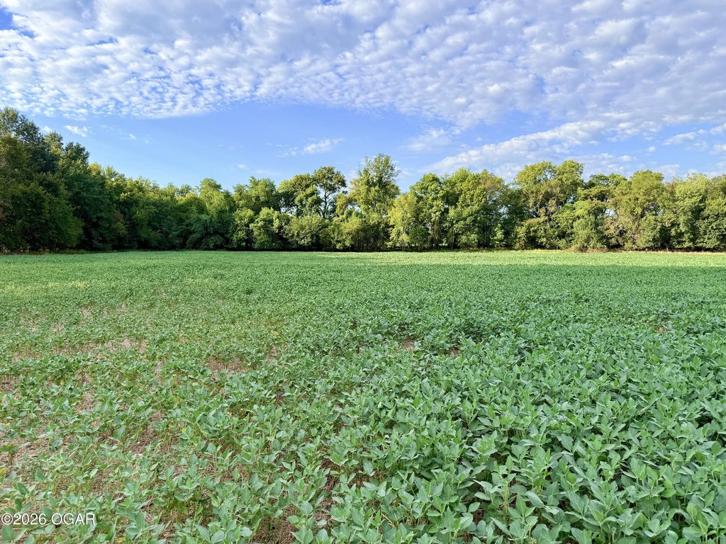 Picture 30