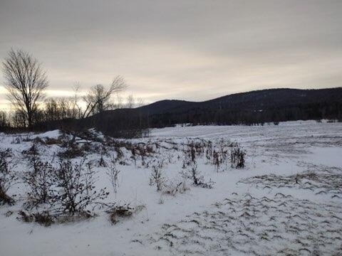 LAND - Ellenburg Center, NY