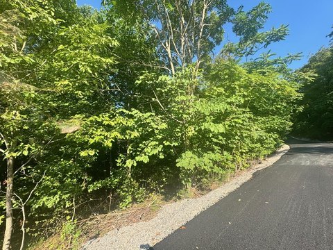 Wooded Lot in Gated Community