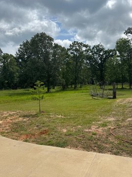 Cleared Land in Lufkin, TX