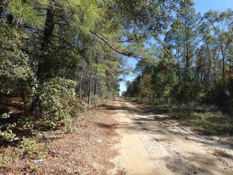 LAND - Monticello, FL