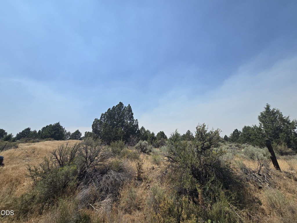 Picture 28