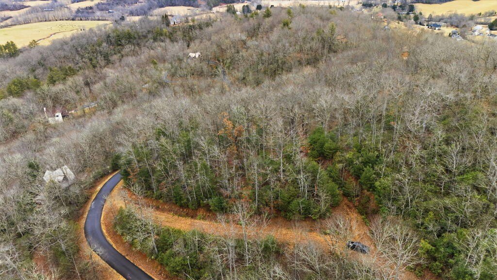 Picture 30
