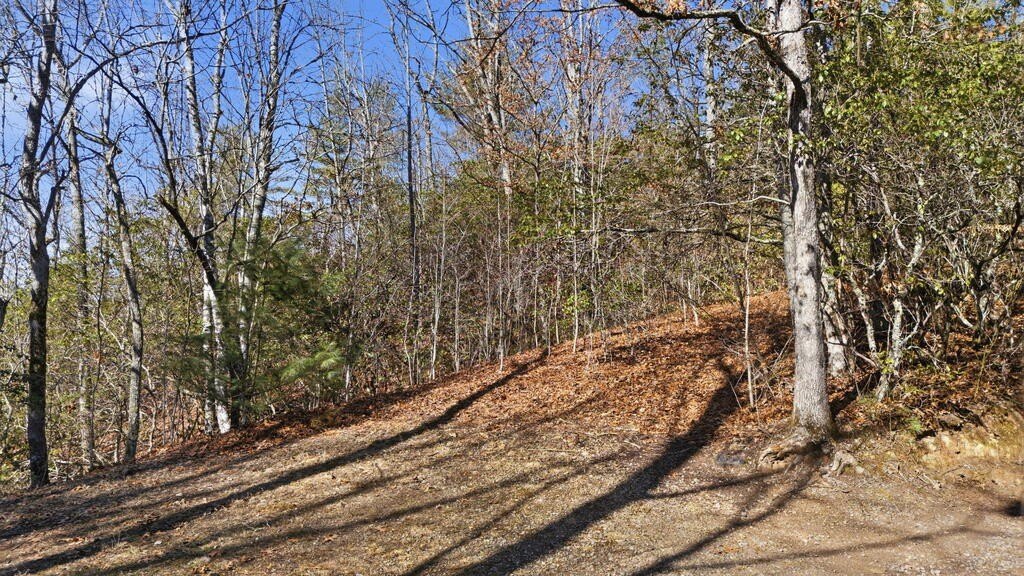 Picture 11