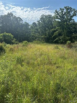 8.34 Acres on Highway 21