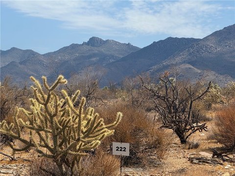 Corner Desert Land