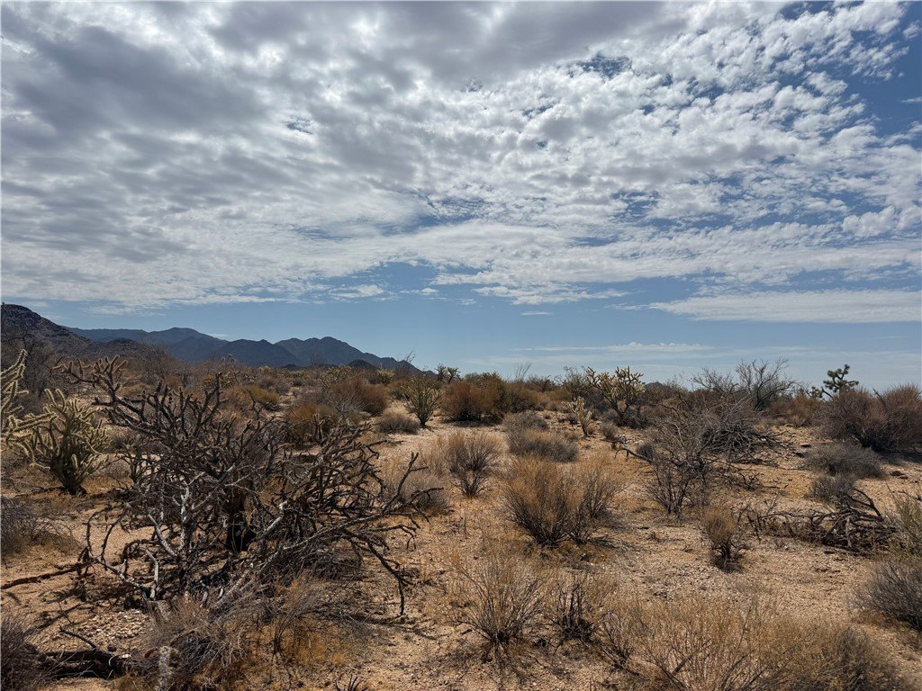 Picture 20