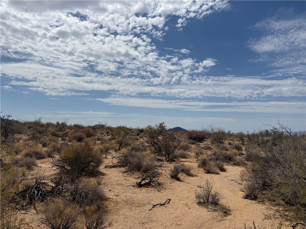 Picture 19