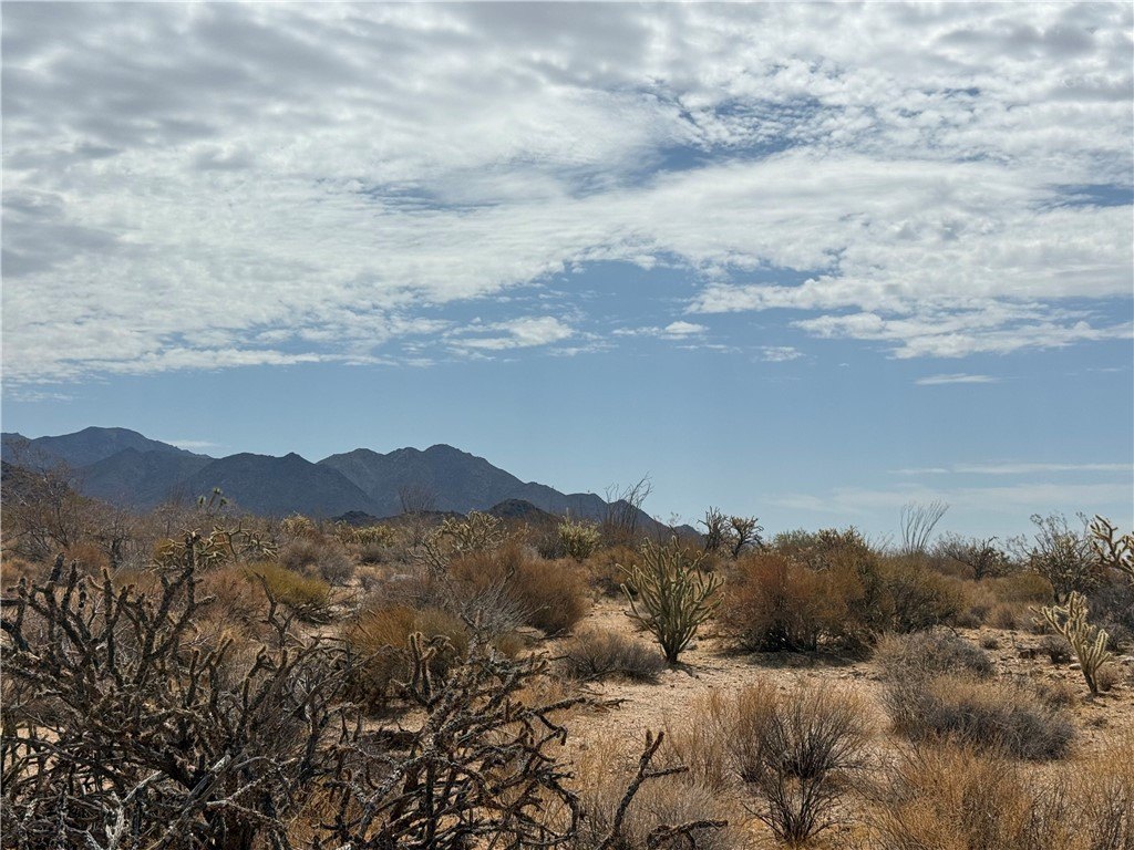 Picture 22