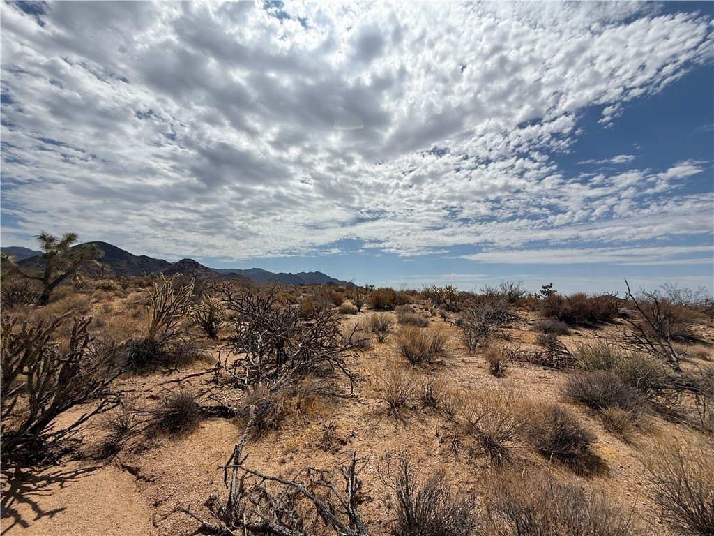 Picture 21