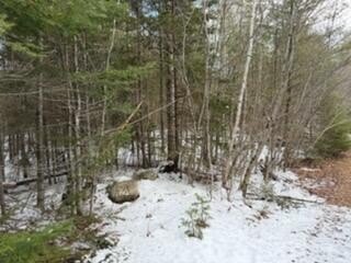 Two Acre Bremen Land Parcel