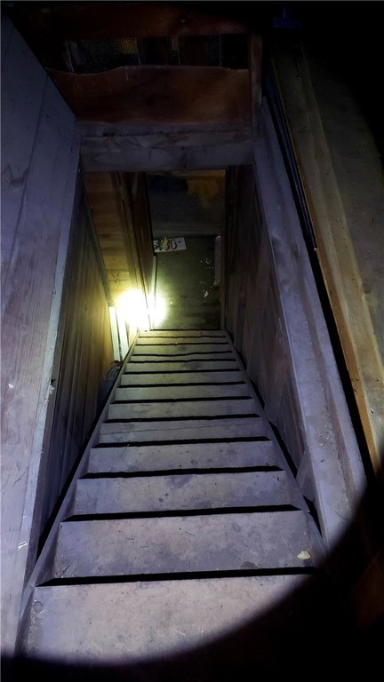 Picture 24