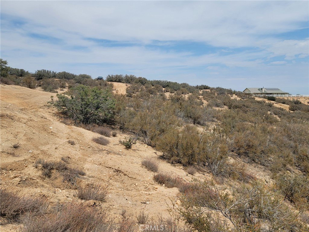 Picture 7