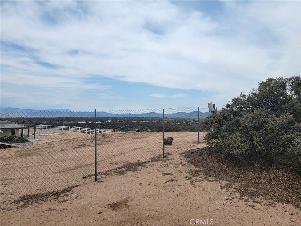 Picture 15