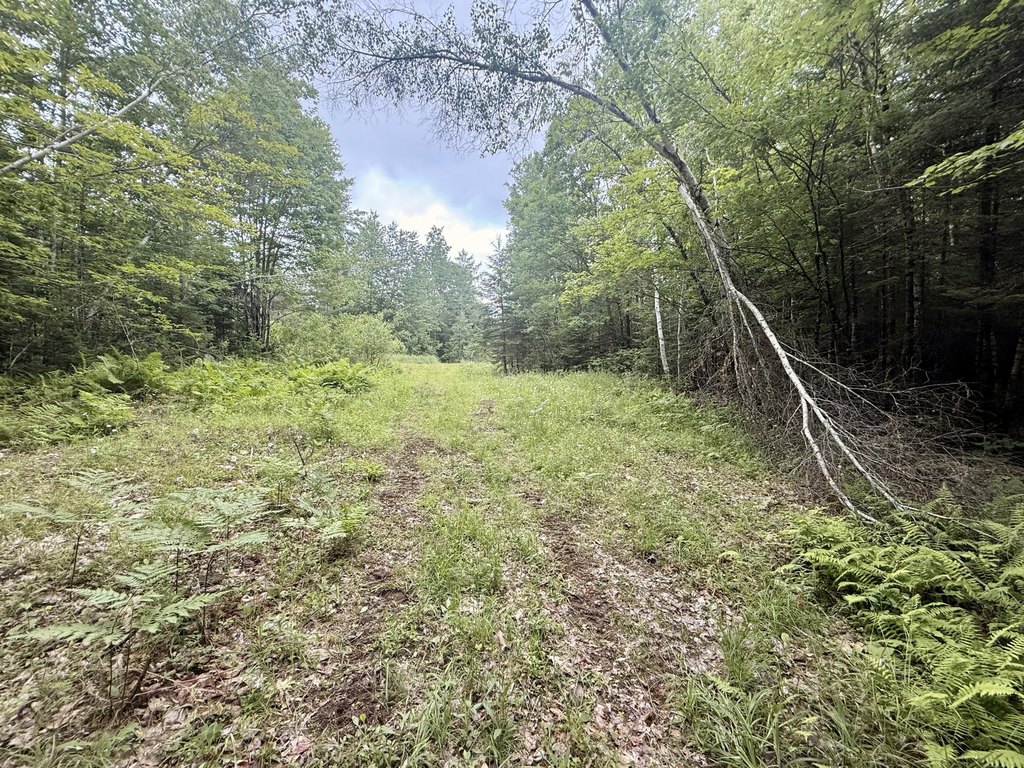 Picture 6