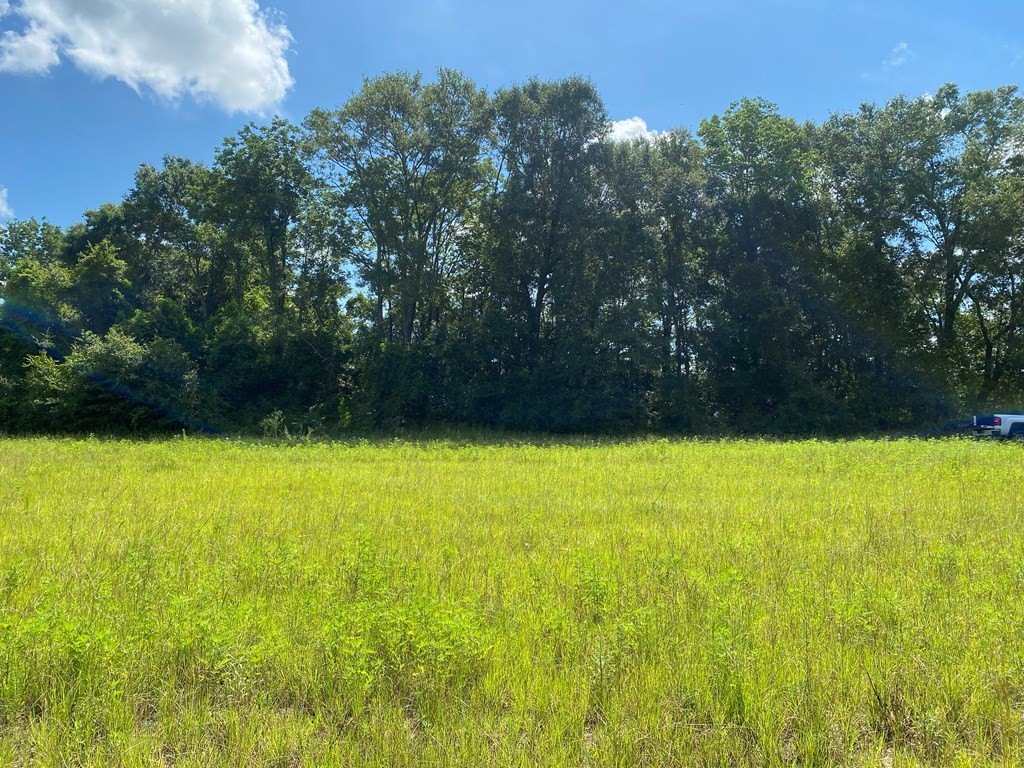 Picture 25