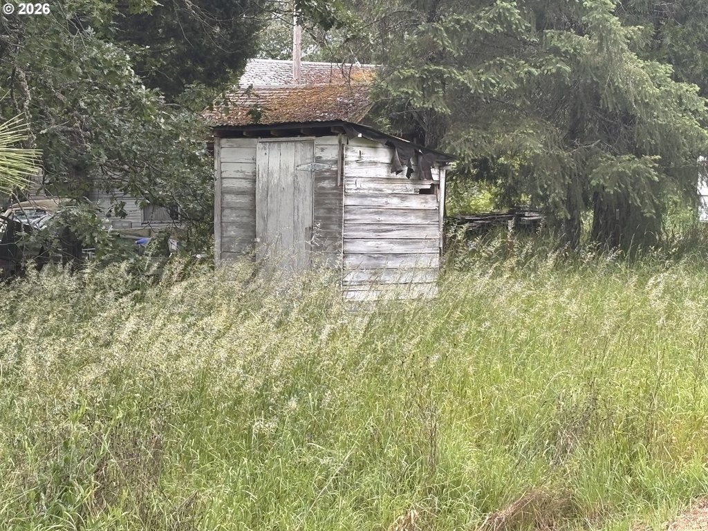 Picture 9