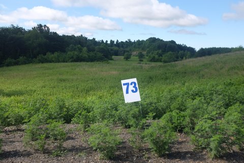 Residential Land in East Bernstadt