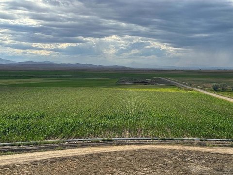 Irrigated Agricultural Land