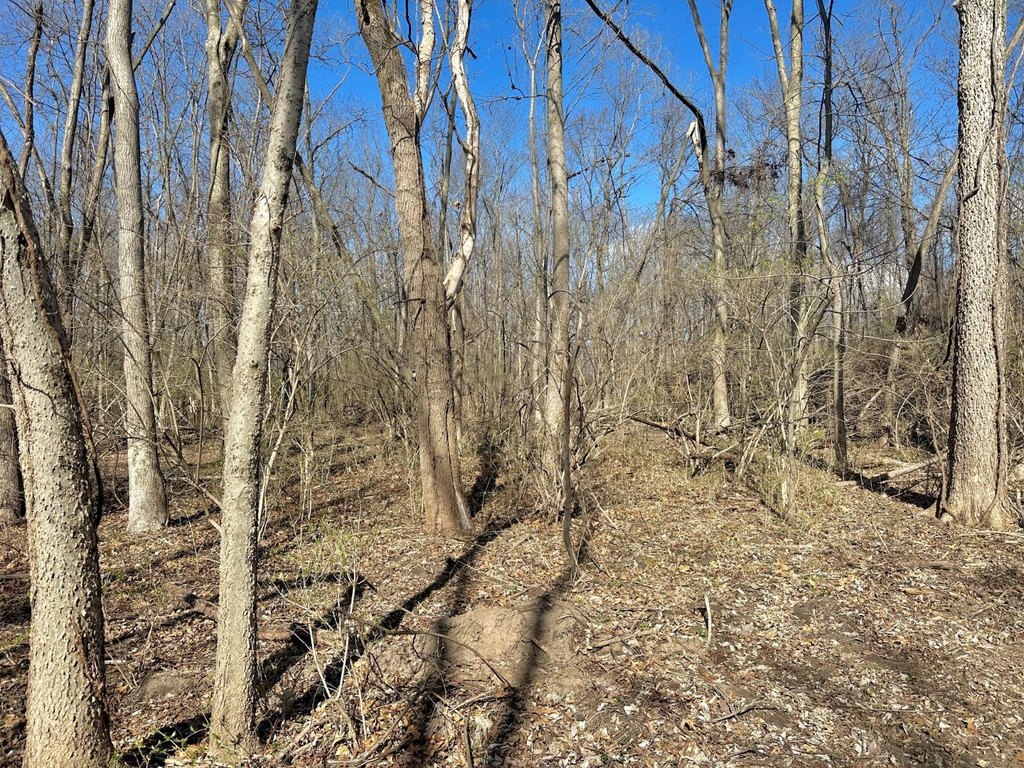 Picture 11