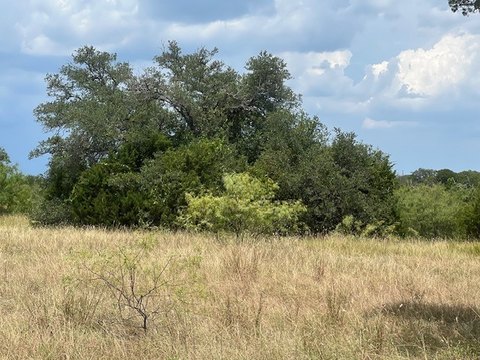 Level Resort-Access Home Lot