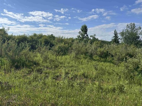 LAND - Gladwin, MI