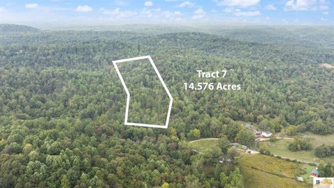 Bonnieville Acreage with Wooded Privacy