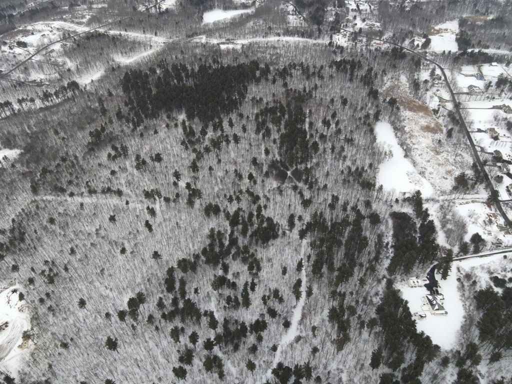 Picture 3