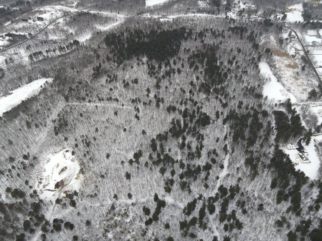 Picture 4