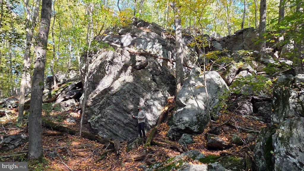 Picture 23
