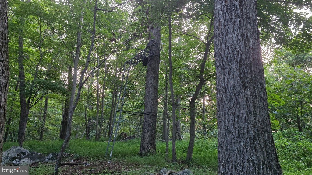 Picture 31