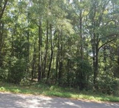 Wooded Lot For Residential Development