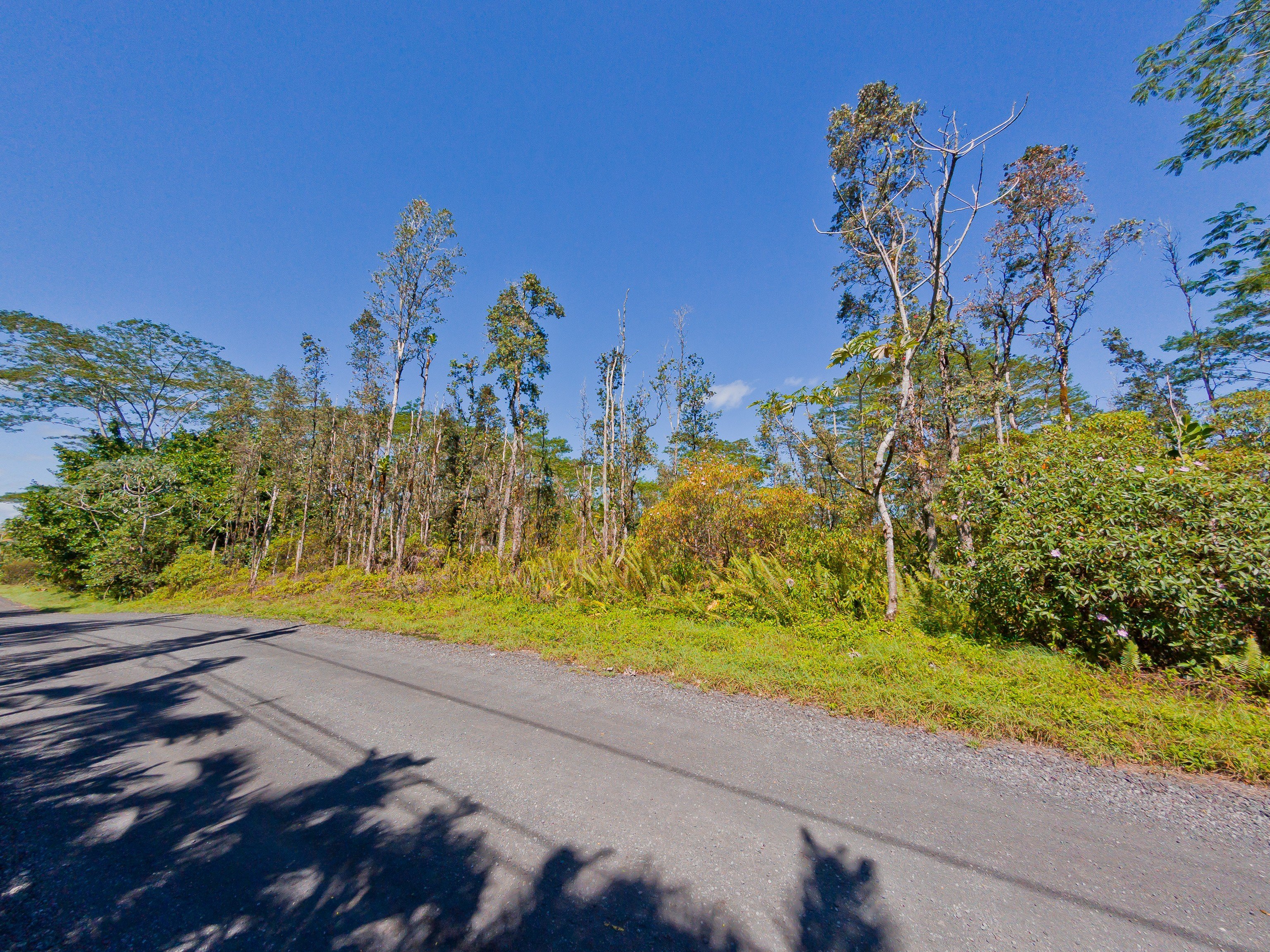 Vacant Acre in Keaau