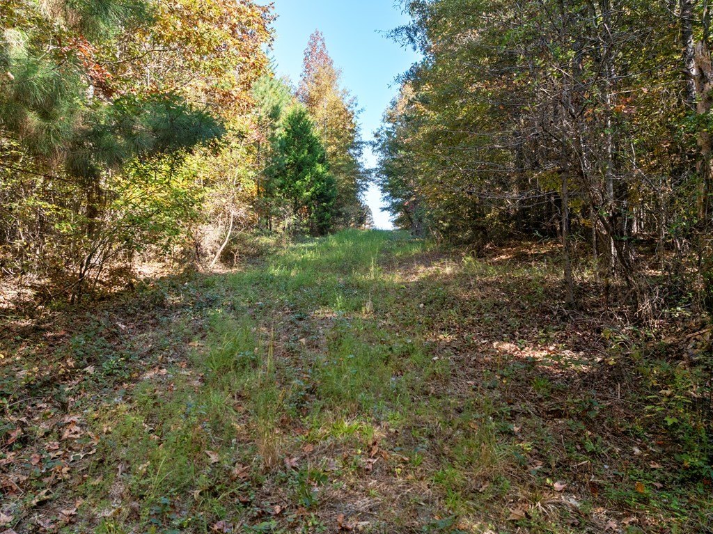 Picture 29