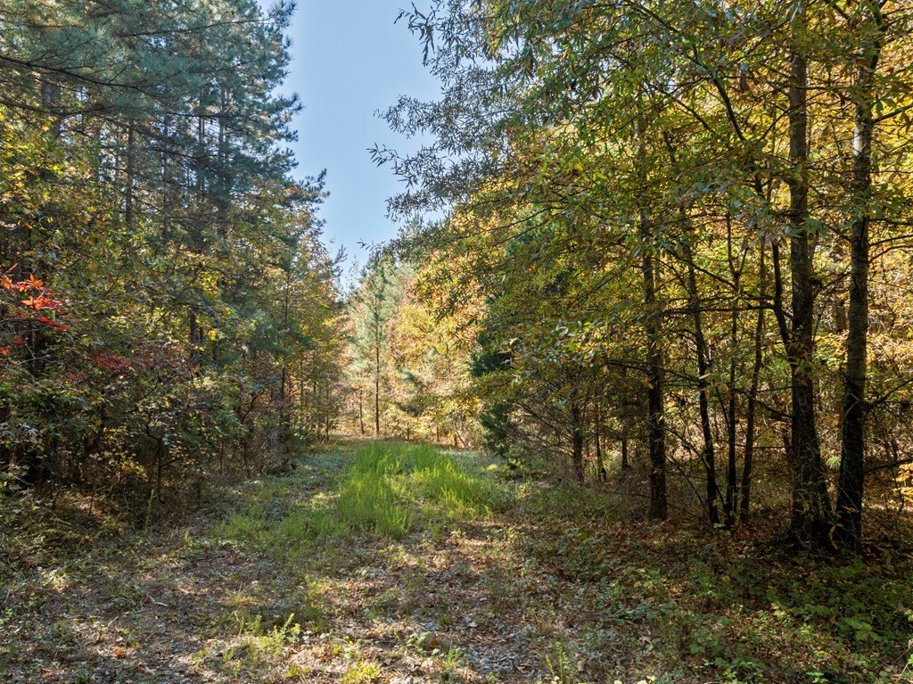 Picture 30