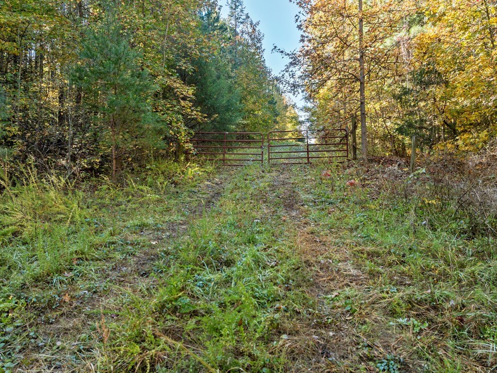 Picture 32