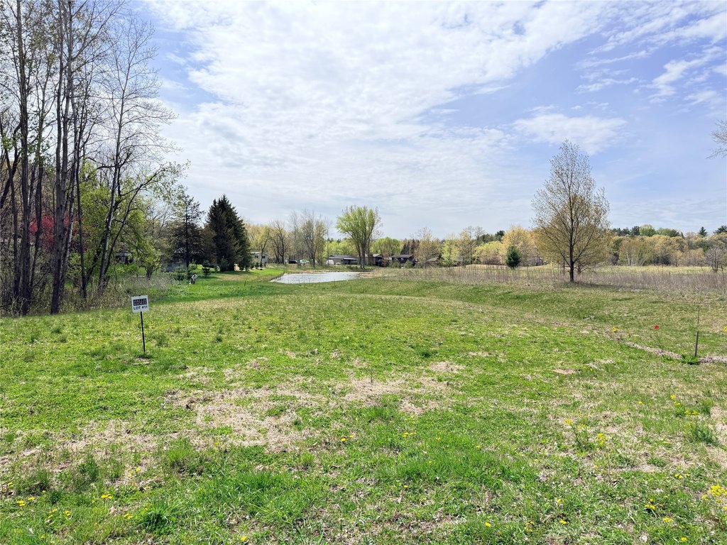 Picture 8