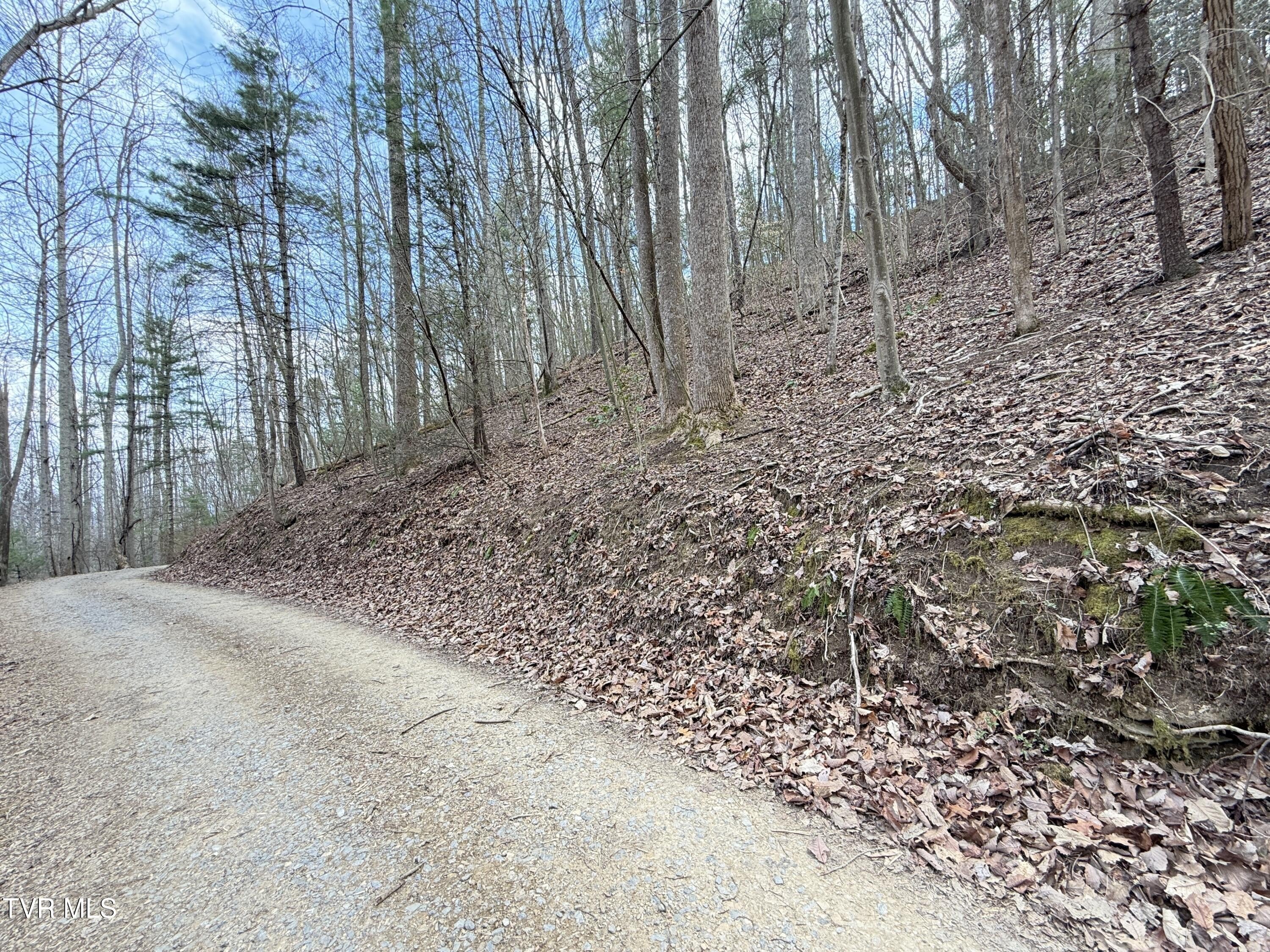 Tennessee Mountain Freedom Land
