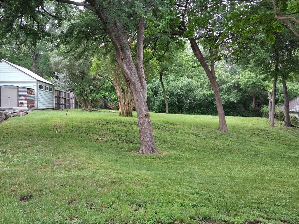 Picture 5