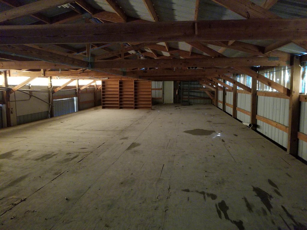 Picture 6