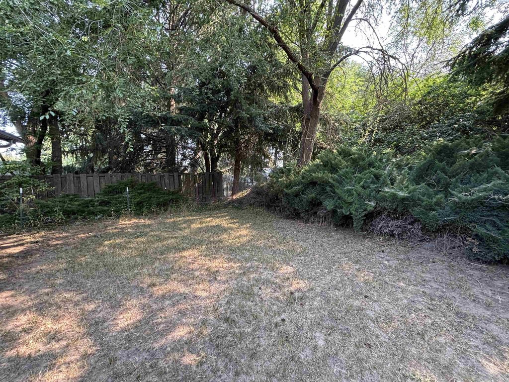 Picture 22
