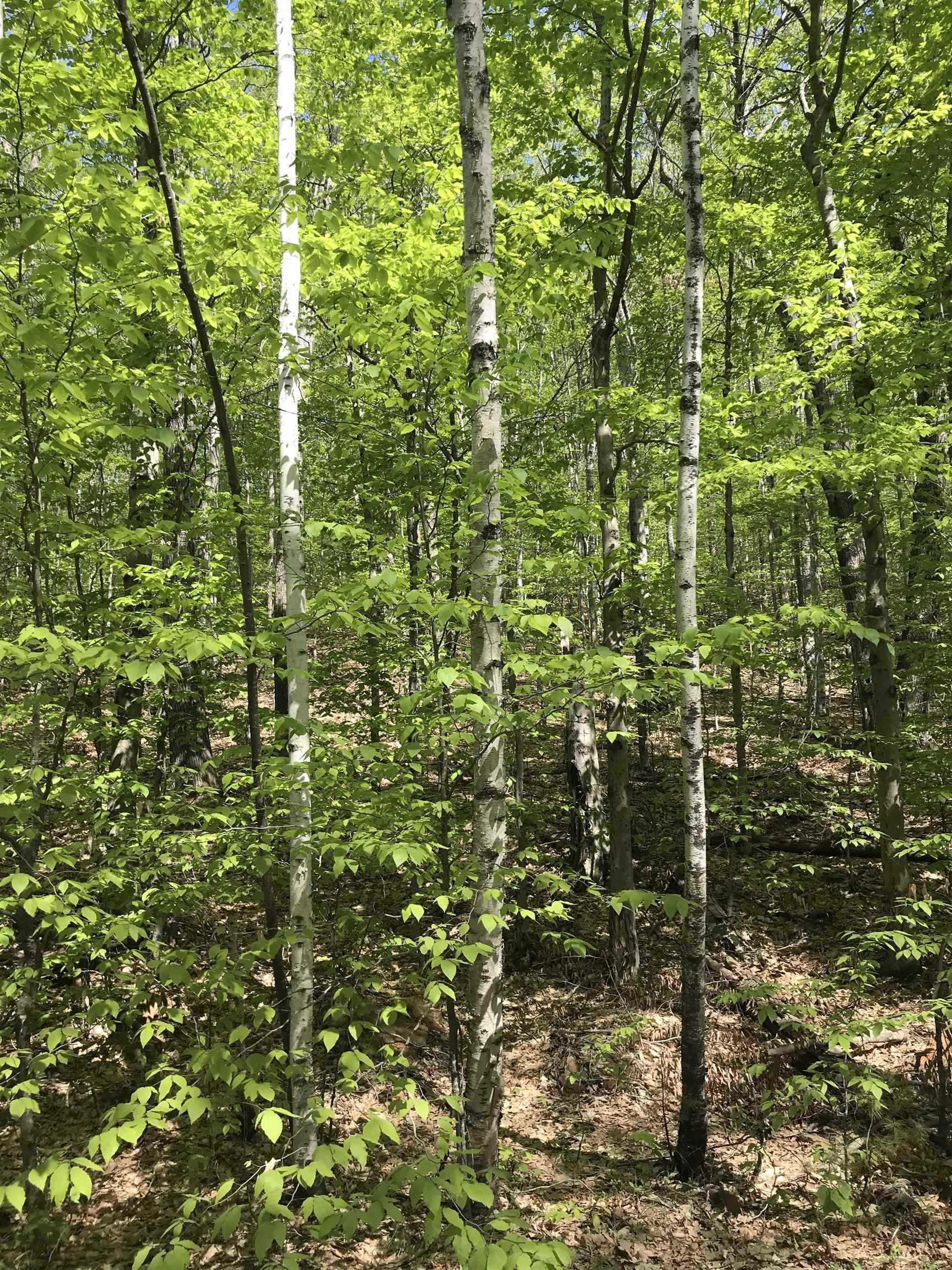 Campton Land with Approved Septic